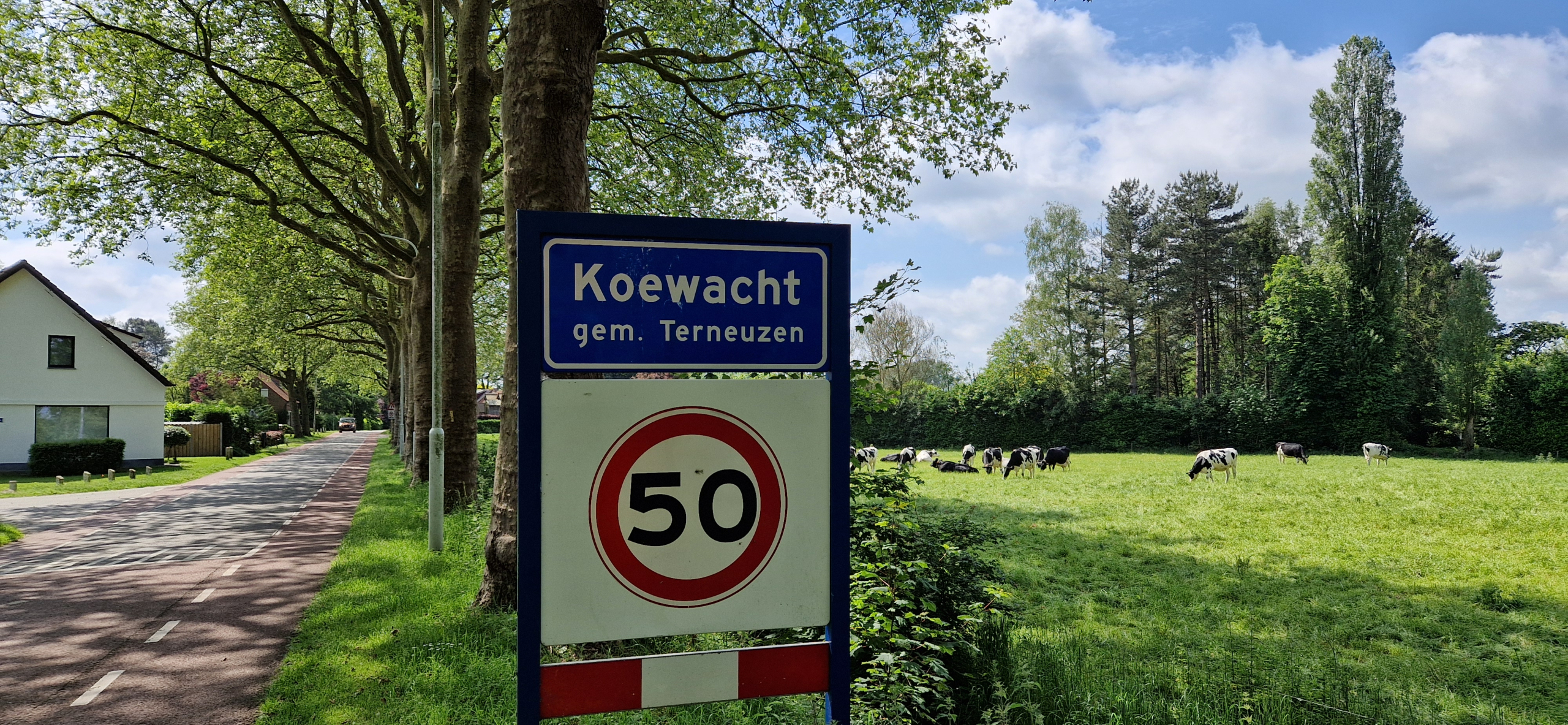 WTC Graauw